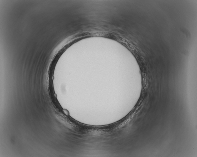 X0000111780246200908201116