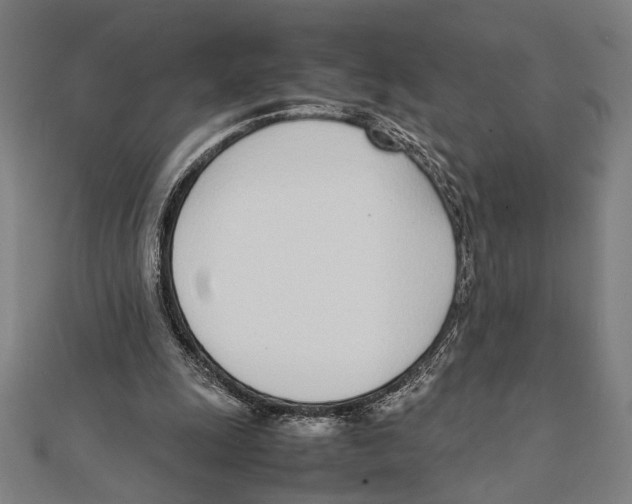 X0000111780247200908201116