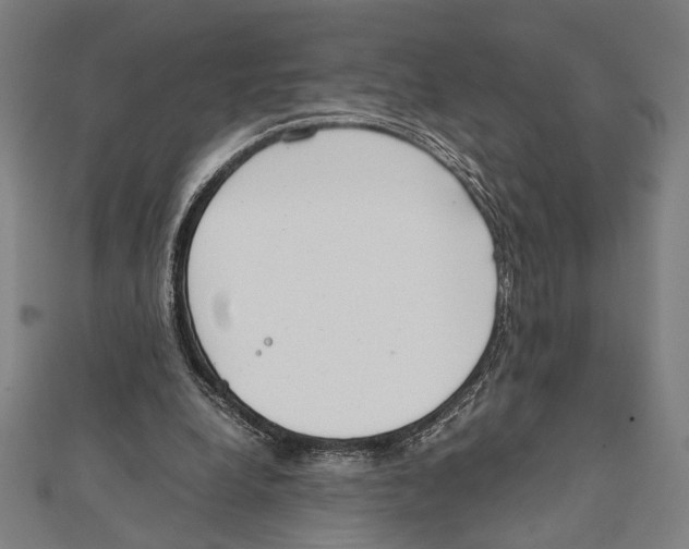 X0000111780248200908201116