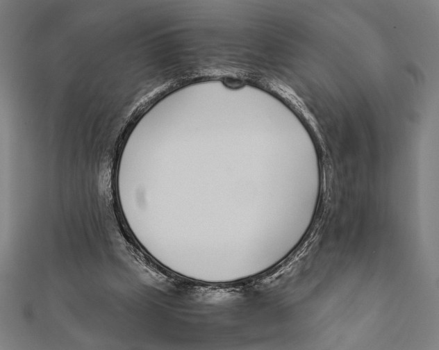X0000111780249200908201116