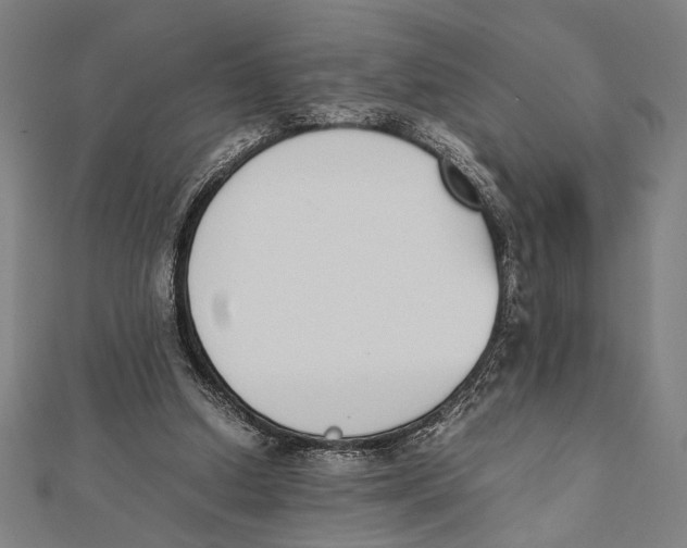 X0000111780250200908201116