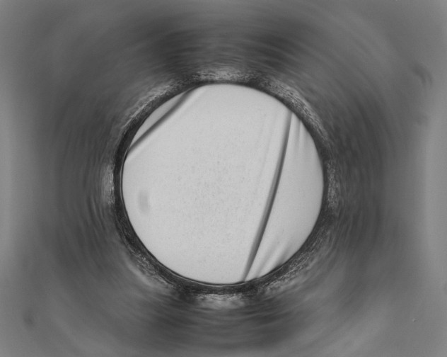 X0000111780251200908201116