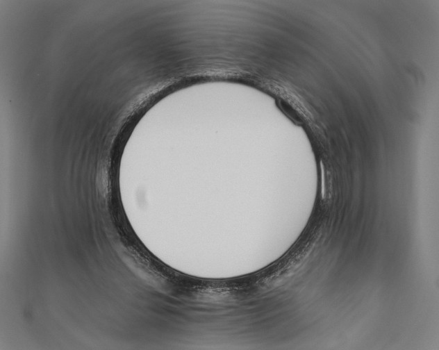 X0000111780252200908201116