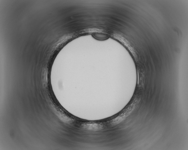 X0000111780253200908201116
