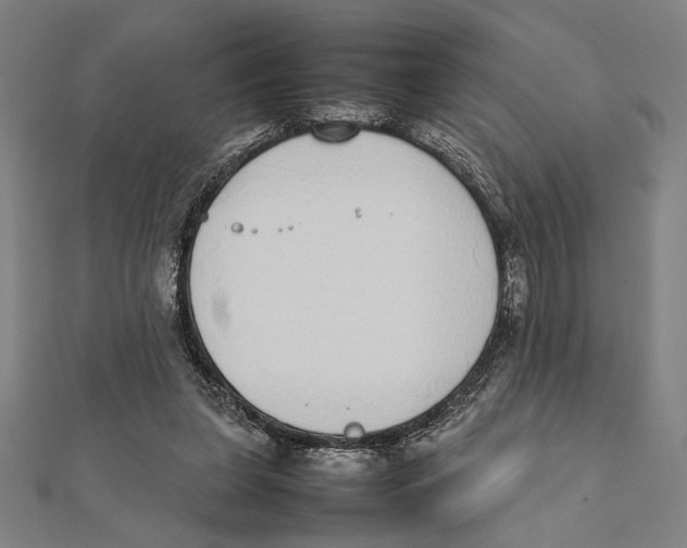 X0000111780255200908201116