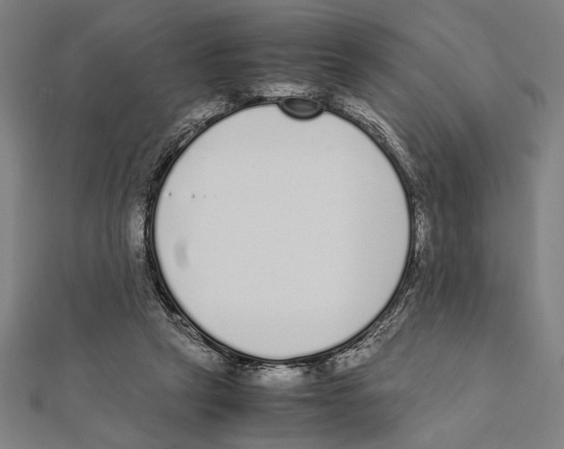X0000111780257200908201116