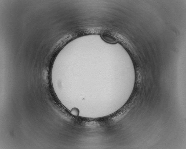 X0000111780258200908201116