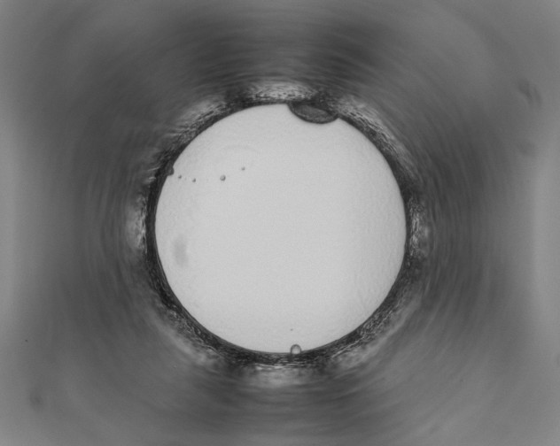 X0000111780259200908201116