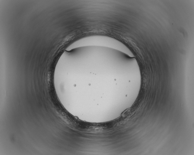 X0000111780260200908201116
