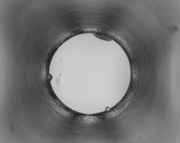 X0000111780261200908201116