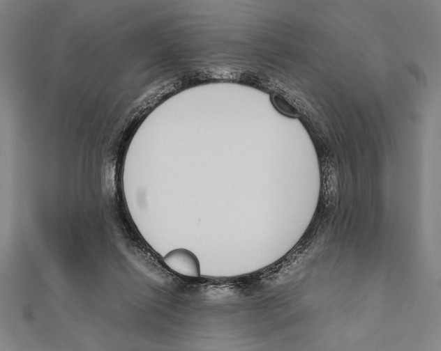 X0000111780262200908201116