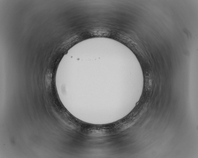 X0000111780263200908201116