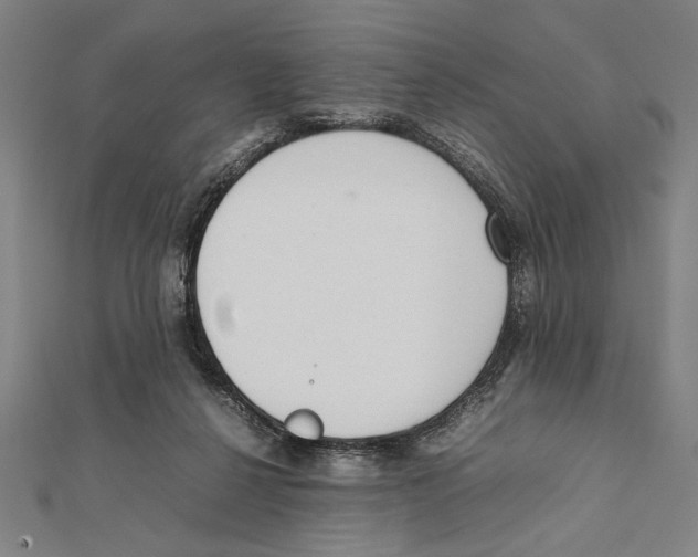 X0000111780264200908201116