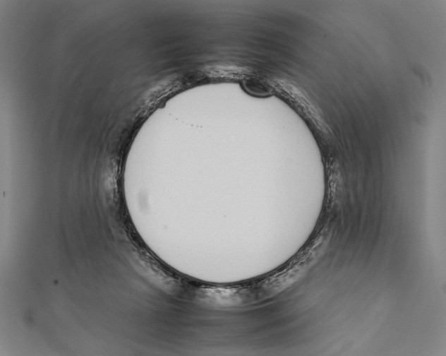 X0000111780265200908201116