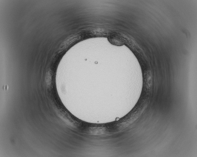 X0000111780266200908201116