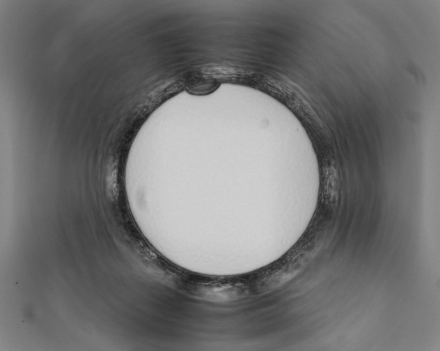 X0000111780267200908201116