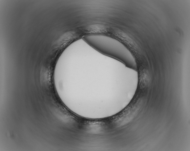 X0000111780268200908201116