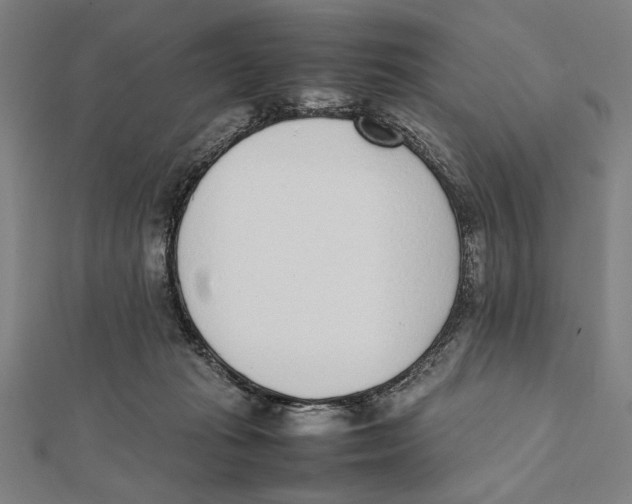 X0000111780269200908201116