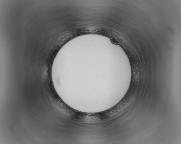 X0000111780270200908201116