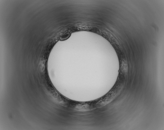 X0000111780271200908201116