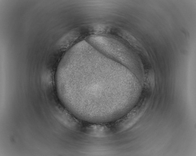 X0000111780272200908201116