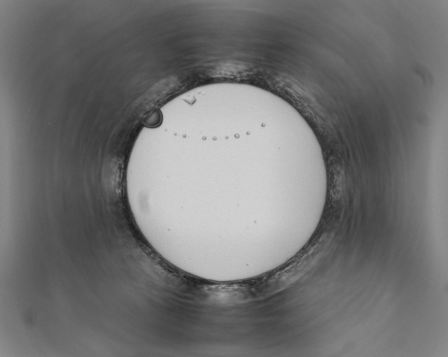 X0000111780273200908201116