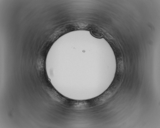 X0000111780274200908201116