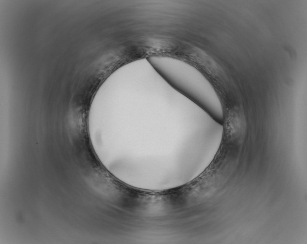 X0000111780276200908201116