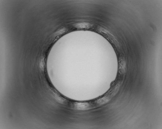 X0000111780277200908201116