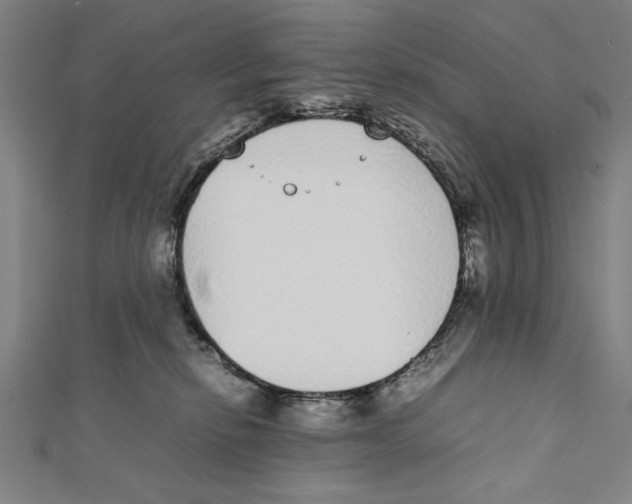X0000111780278200908201116