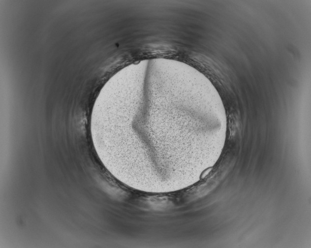 X0000111780279200908201116