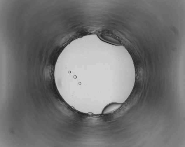 X0000111780280200908201116