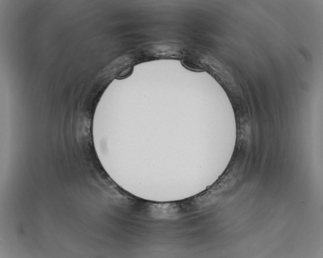 X0000111780281200908201116