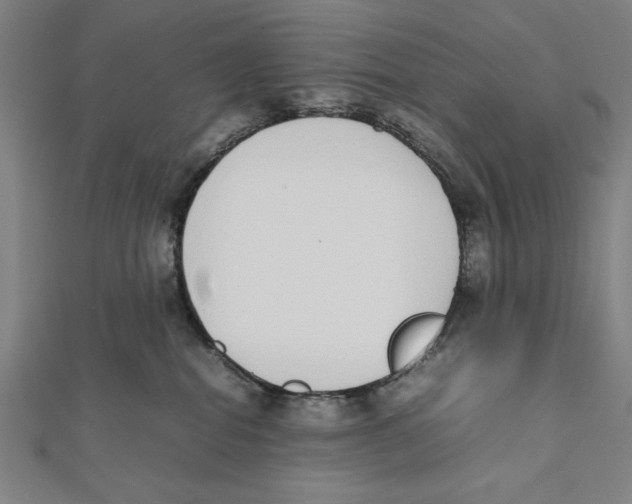 X0000111780282200908201116