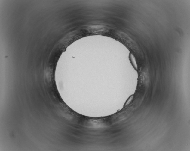 X0000111780283200908201116