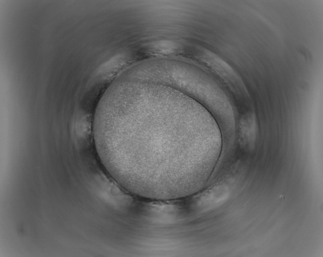 X0000111780284200908201116