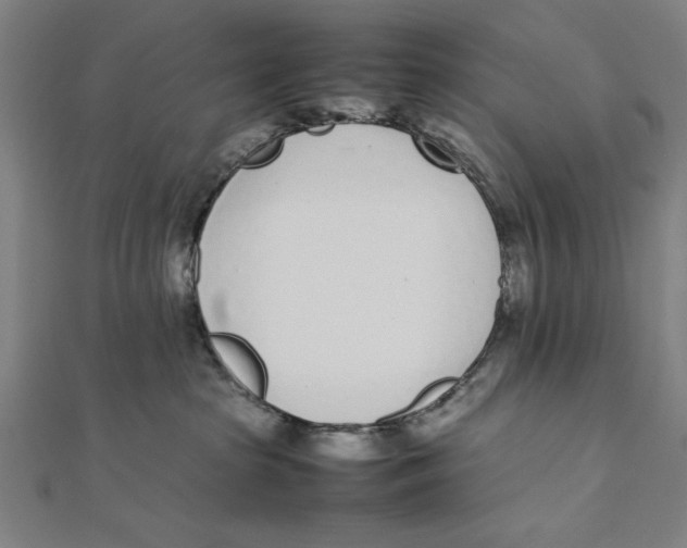 X0000111780285200908201116