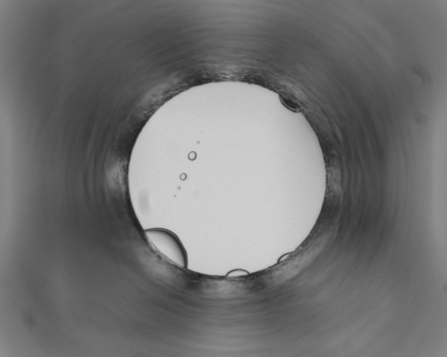 X0000111780286200908201116
