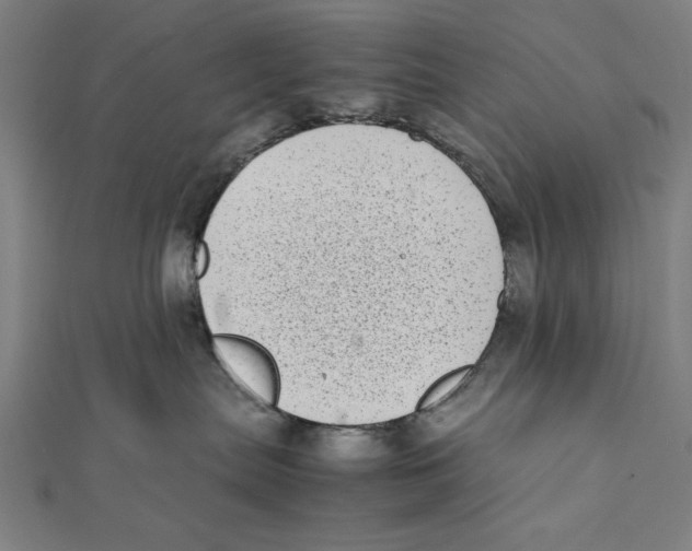 X0000111780287200908201116