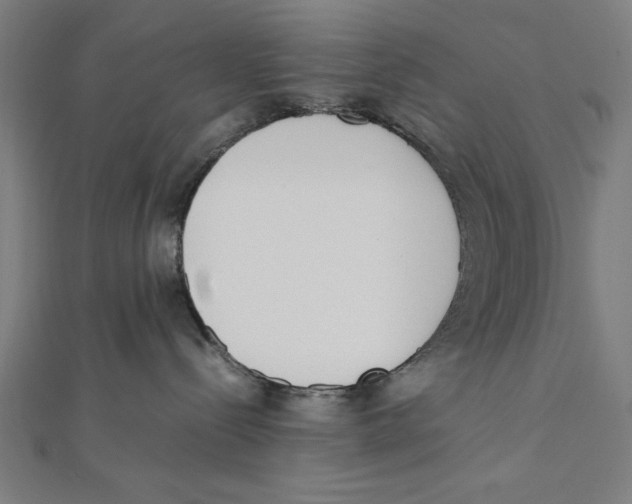 X0000111780288200908201116