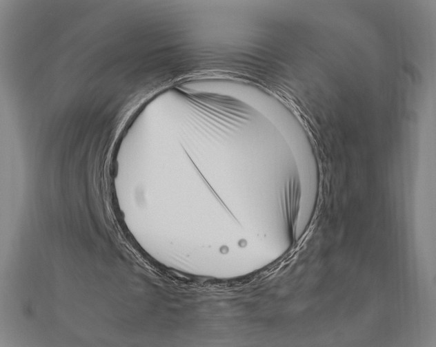 X0000111780289200908201115