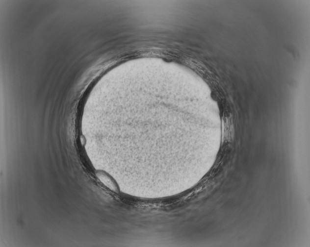 X0000111780291200908201115