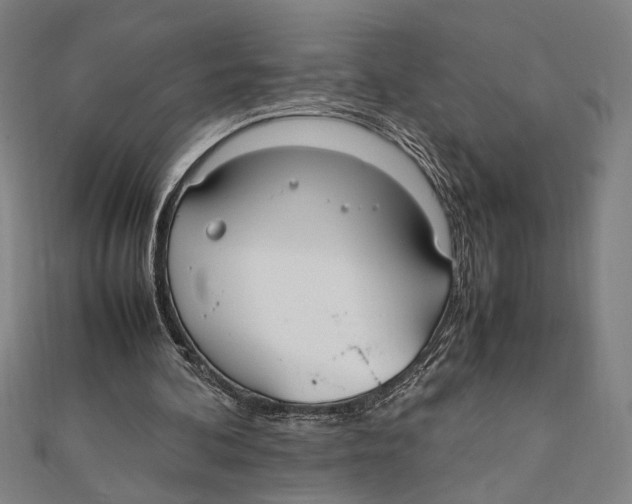 X0000111780292200908201115