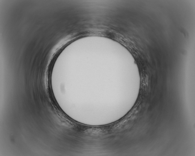 X0000111780294200908201115