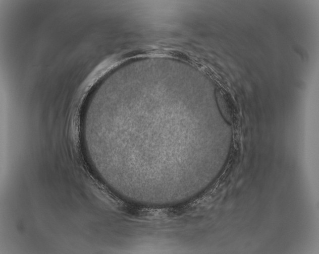 X0000111780295200908201115