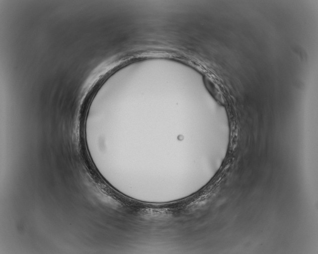 X0000111780296200908201115