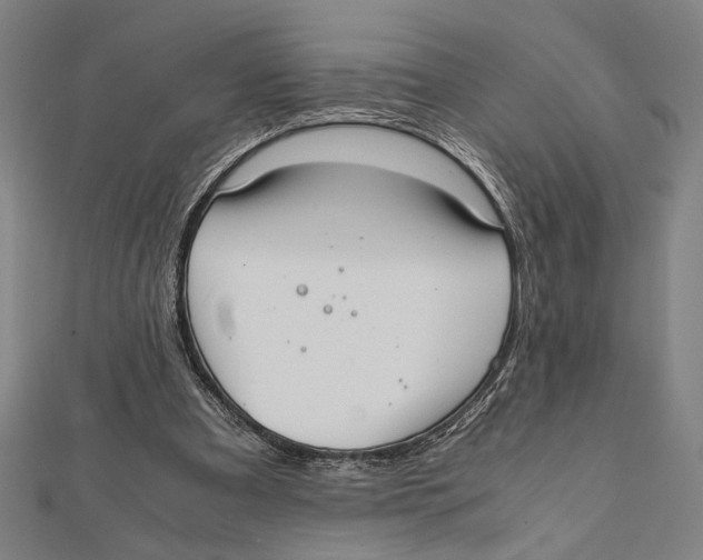X0000111780297200908201115