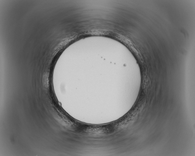 X0000111780299200908201115