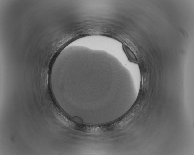 X0000111780301200908201115