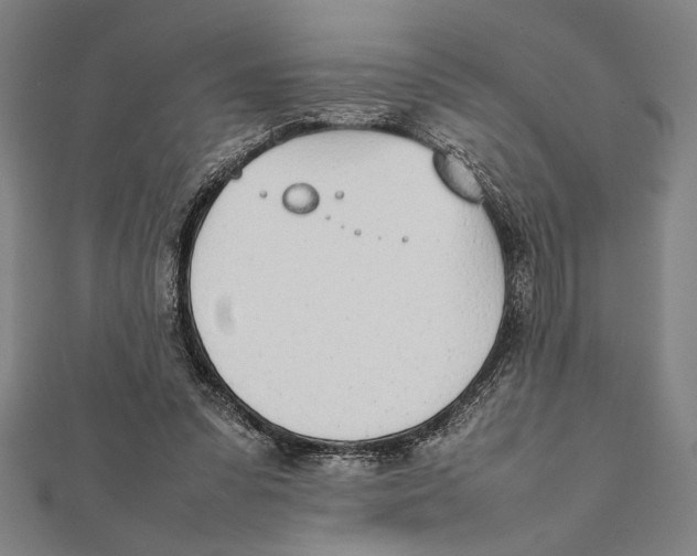 X0000111780303200908201115